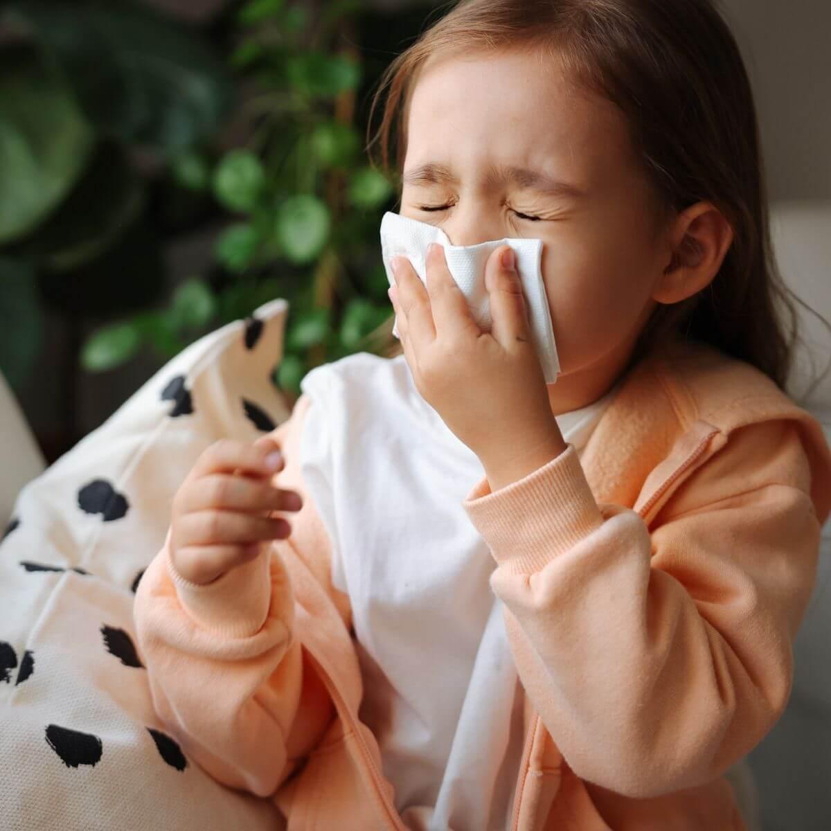 Little girl gets cold and blows her nose at home.