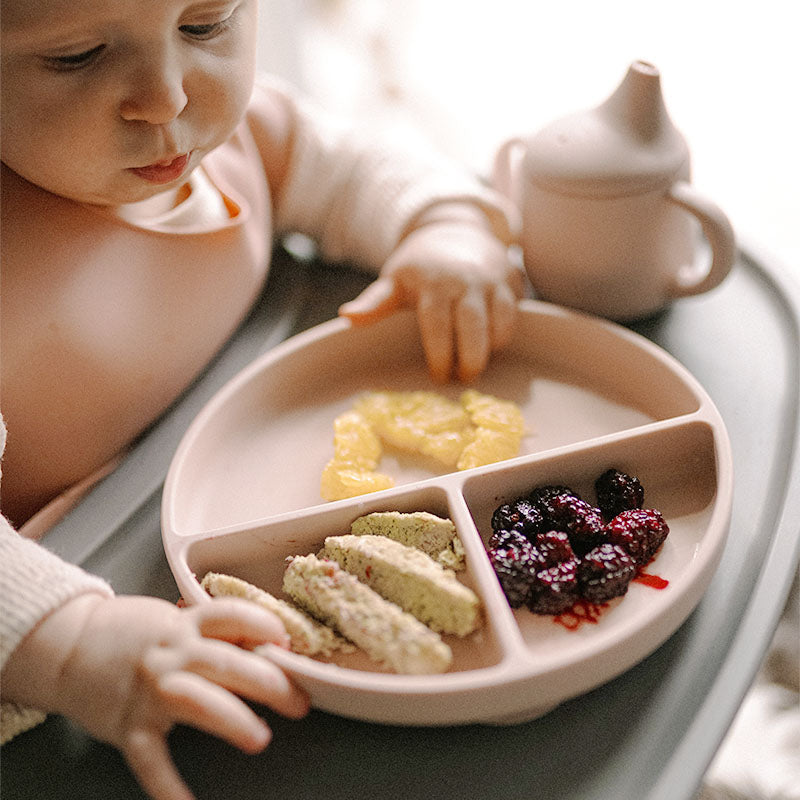 Suction Plates - 2 Pack