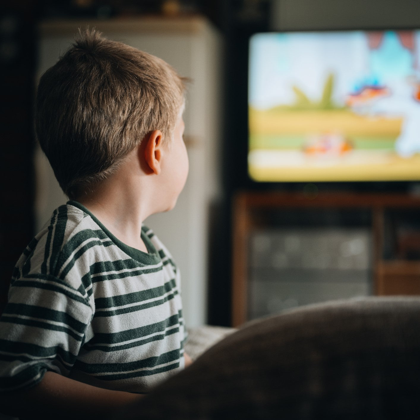 A little boy watching cartoons at home