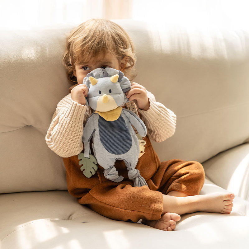 Dino Baby Lovey