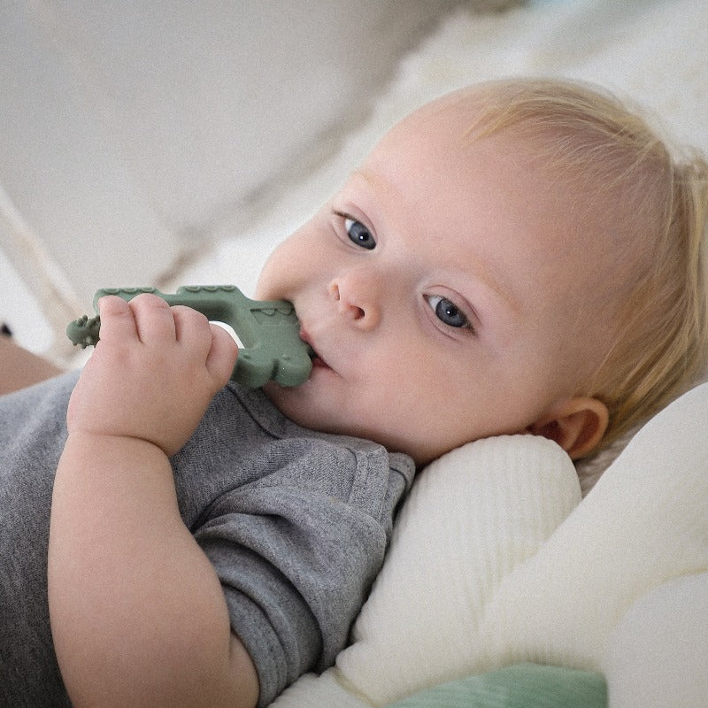 Cute Baby Using Sage Alligator Teether 