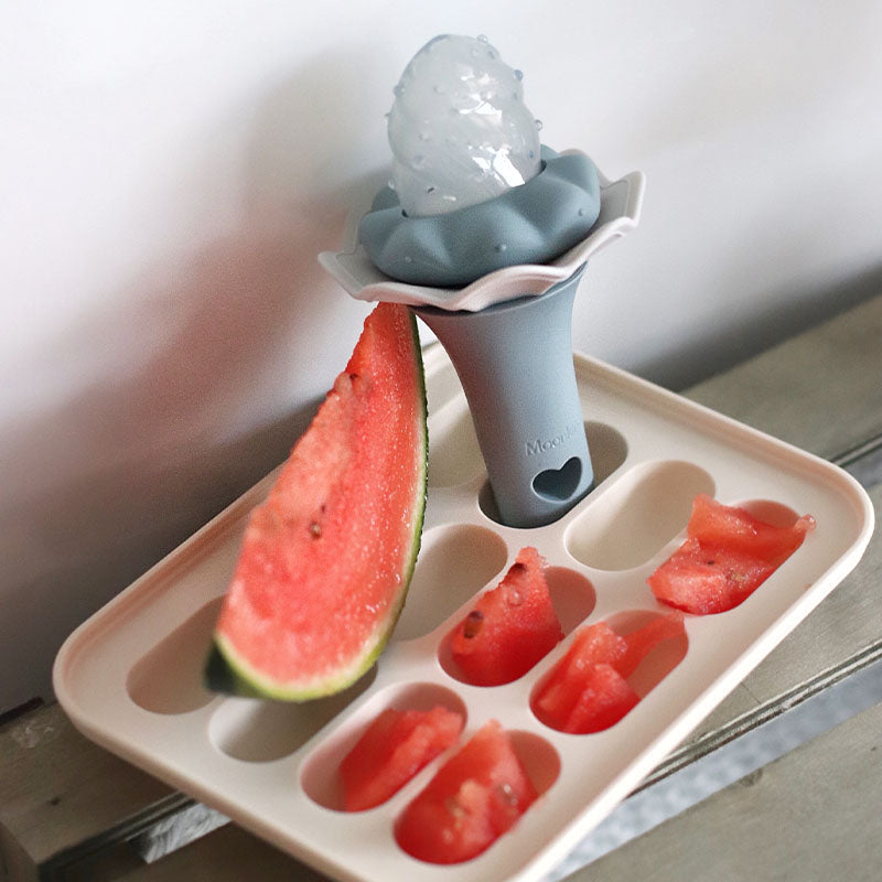 Baby Food Feeder - 2 Pack