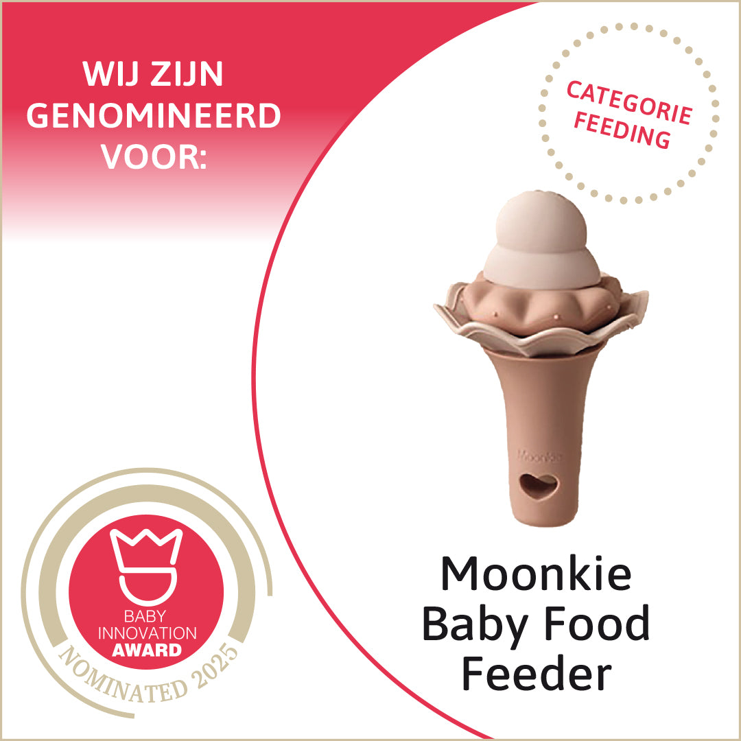 Baby Food Feeder - 2 Pack